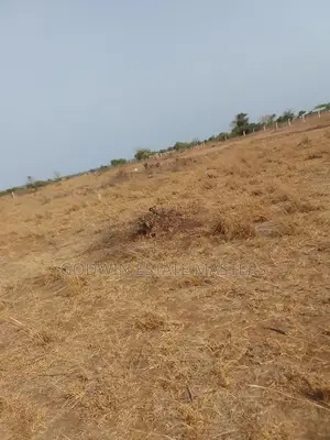 Affordable and Well Demarcated Plots for Sale