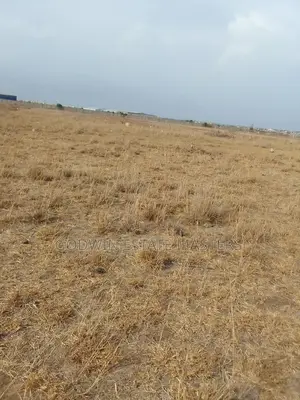 Genuine and Registered Unique Lands Available