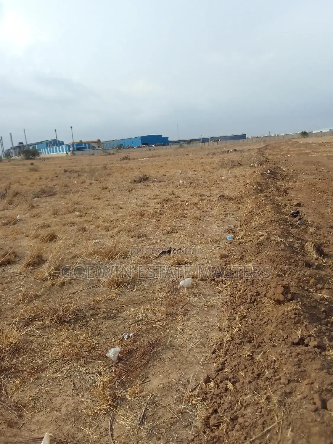100×100 Plot of Land at Tsopoli Near the Newly Airport City