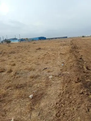 100×100 Plot of Land at Tsopoli Near the Newly Airport City