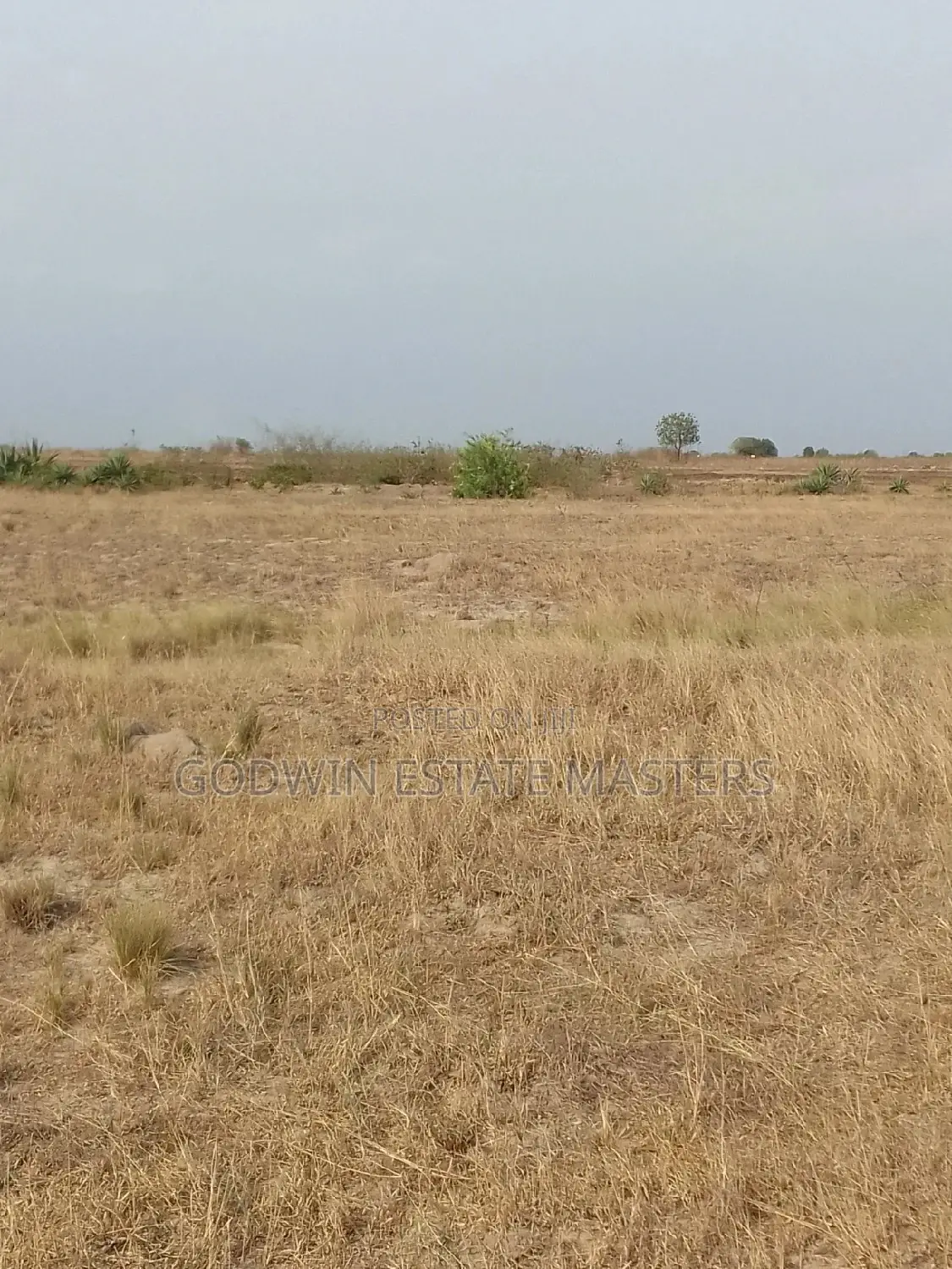 Clear Surface Plots Available at Tsopoli