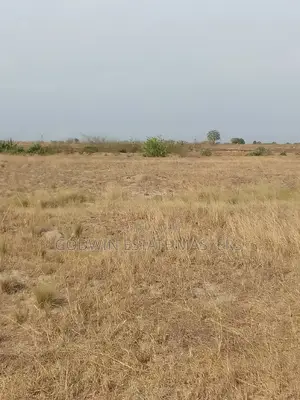 Clear Surface Plots Available at Tsopoli