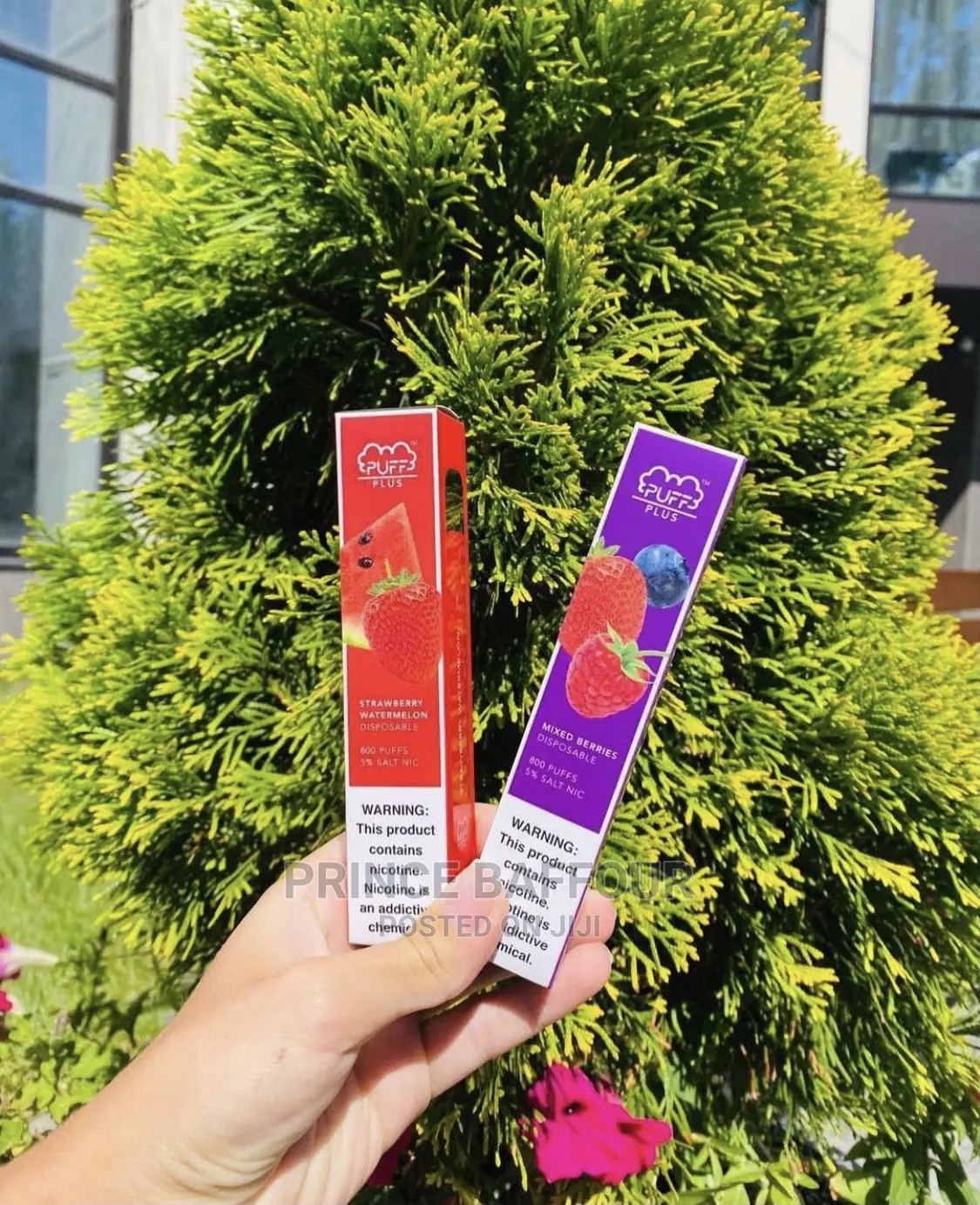 Shisha Pen / Disposable Vape Pen 800 Puffs
