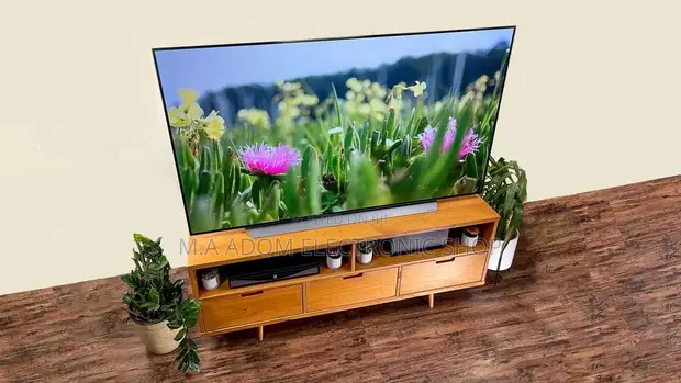 HOT C1 Oled C1 48 Inch LG C1 48 Inch Class 4K Smart Oled TV In