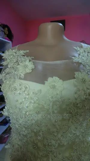 Beautiful Occasional Dresses