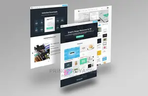 Website Development and Design