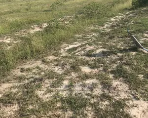Intensified Immovable Property for Sale, Tsopoli