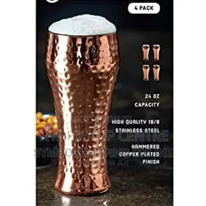 Member's Mark Double Wall Pilsner (Pack of 4)