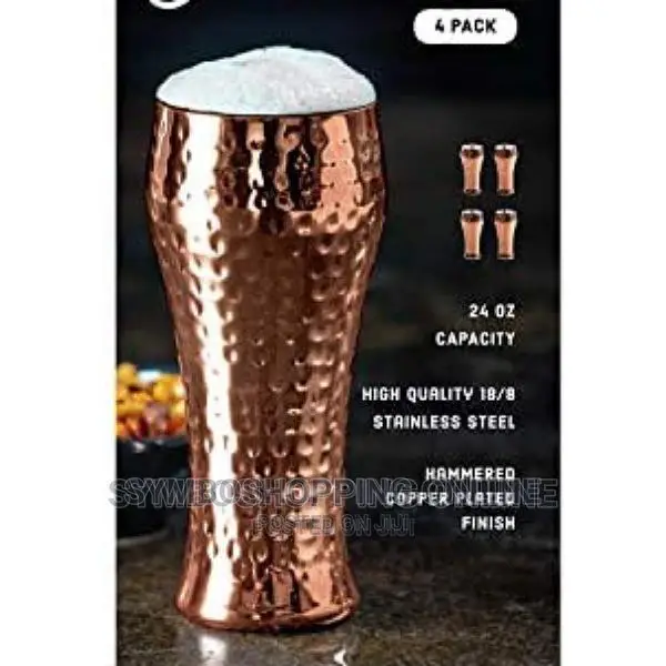 Member's Mark Double Wall Pilsner (Pack of 4)