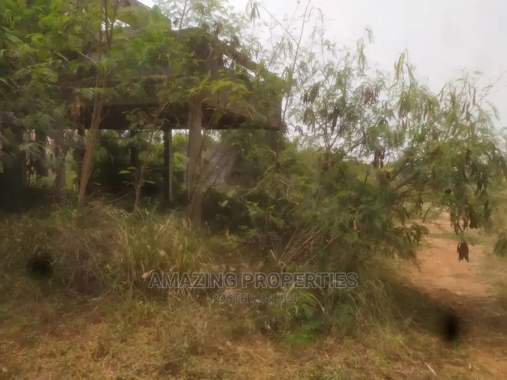 1.20acres of Land Available for Sale Around Tetteh Quarshie