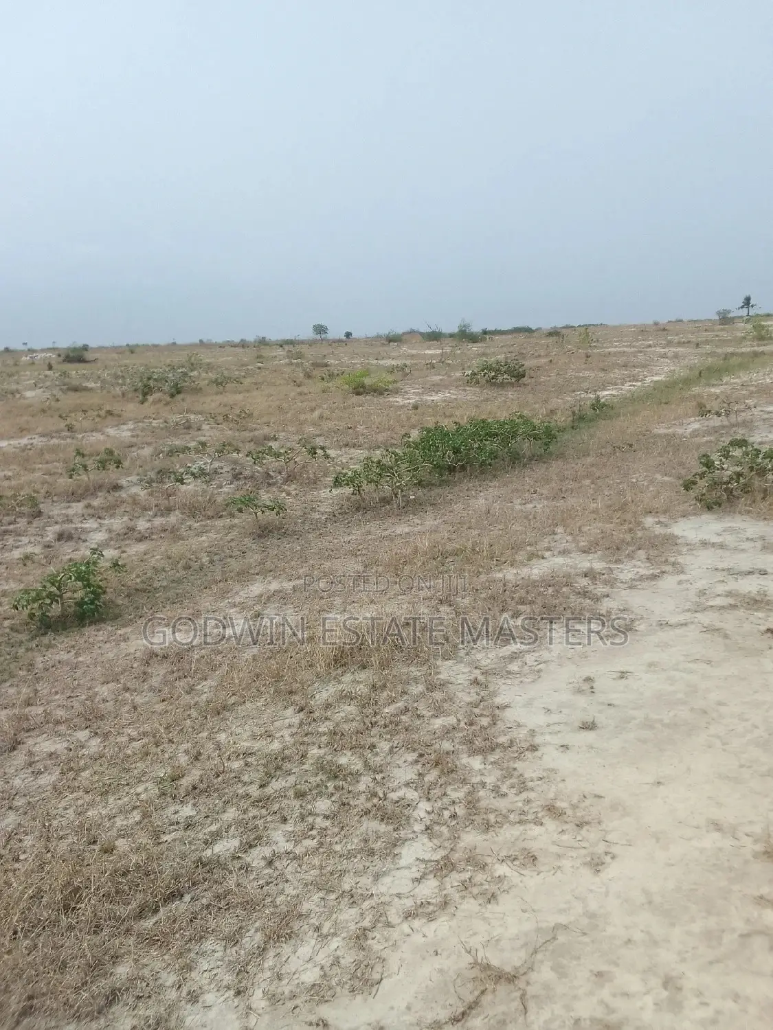 Affordable Plots for Sale at Bueko After Central University