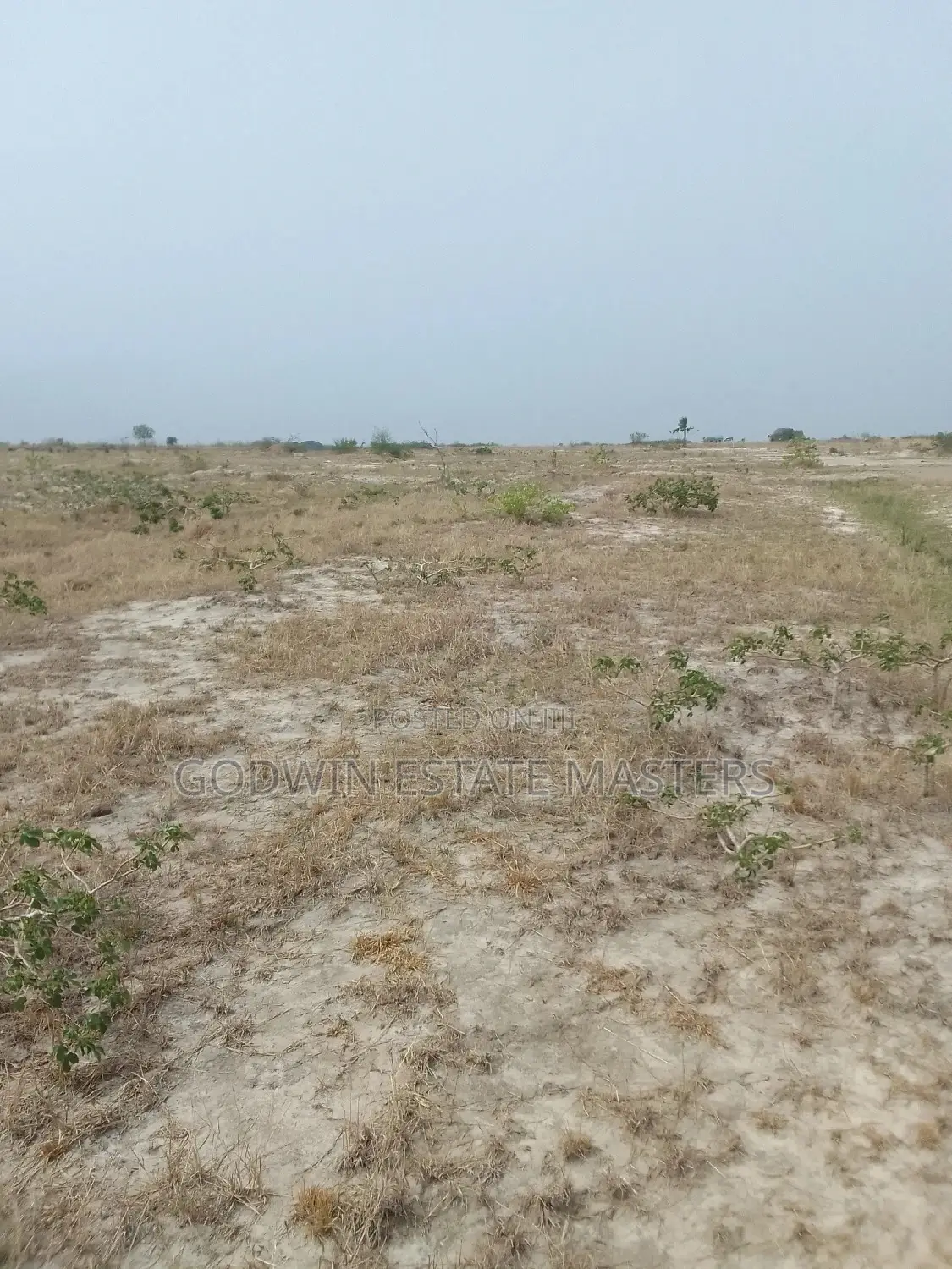 Affordable Plots for Sale at Bueko After Central University