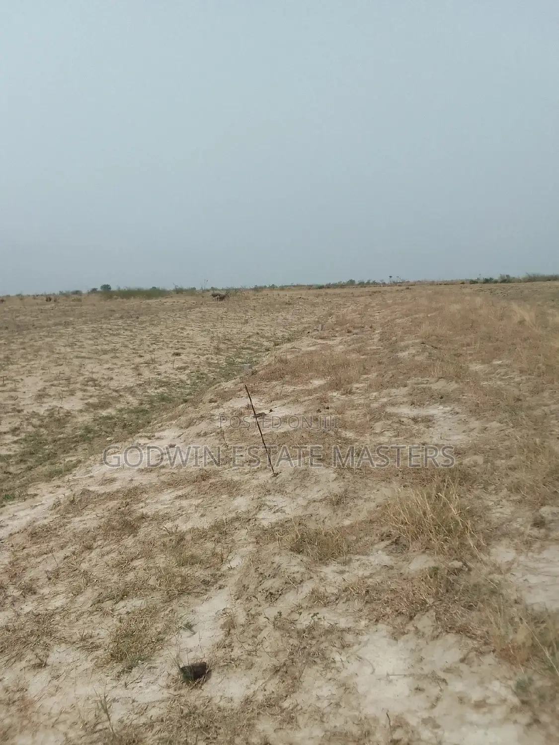 Plots Available for Sale at Bueko