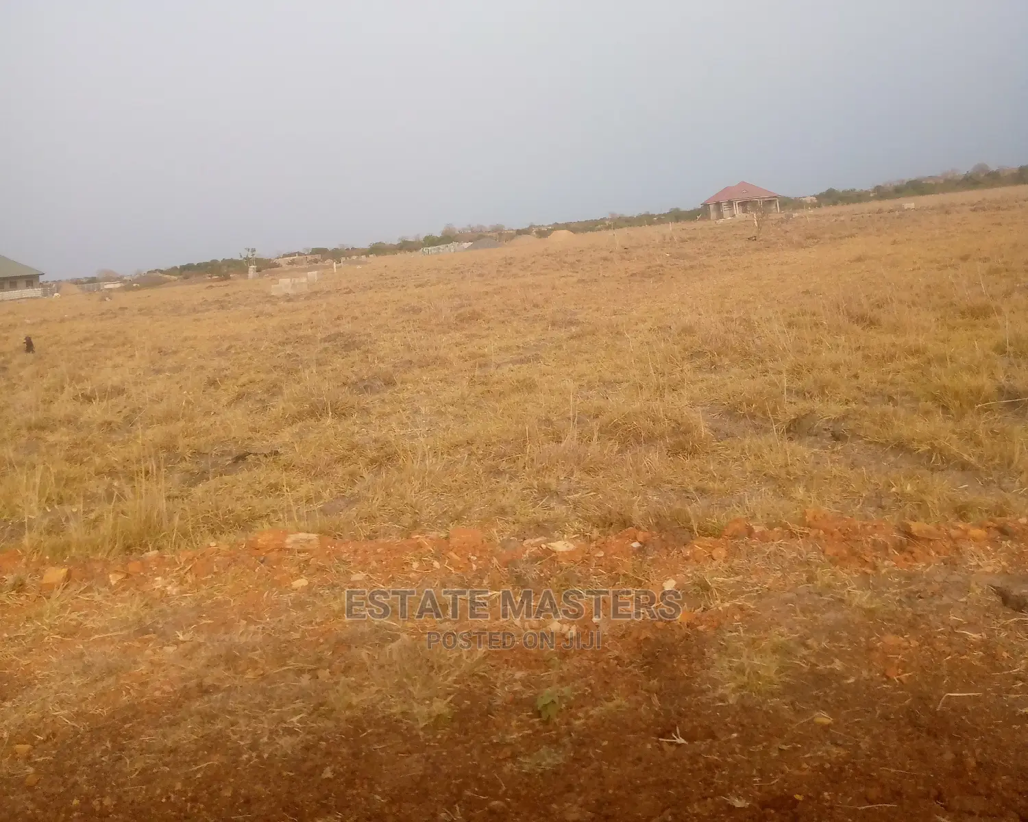 Amenable Lands for Sale Within a Serene Atmosphere.
