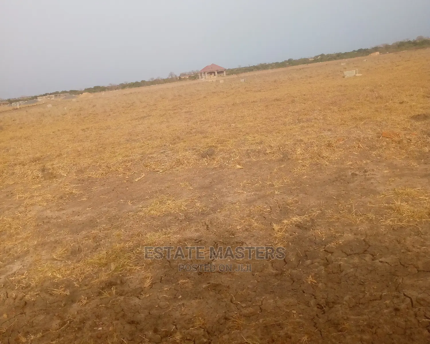 Magnanimous Lands for Sale.
