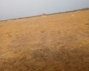 Magnanimous Lands for Sale.