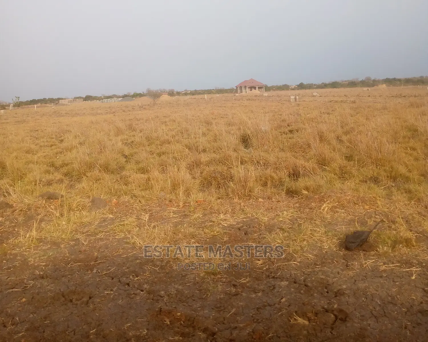 Magnanimous Lands for Sale.