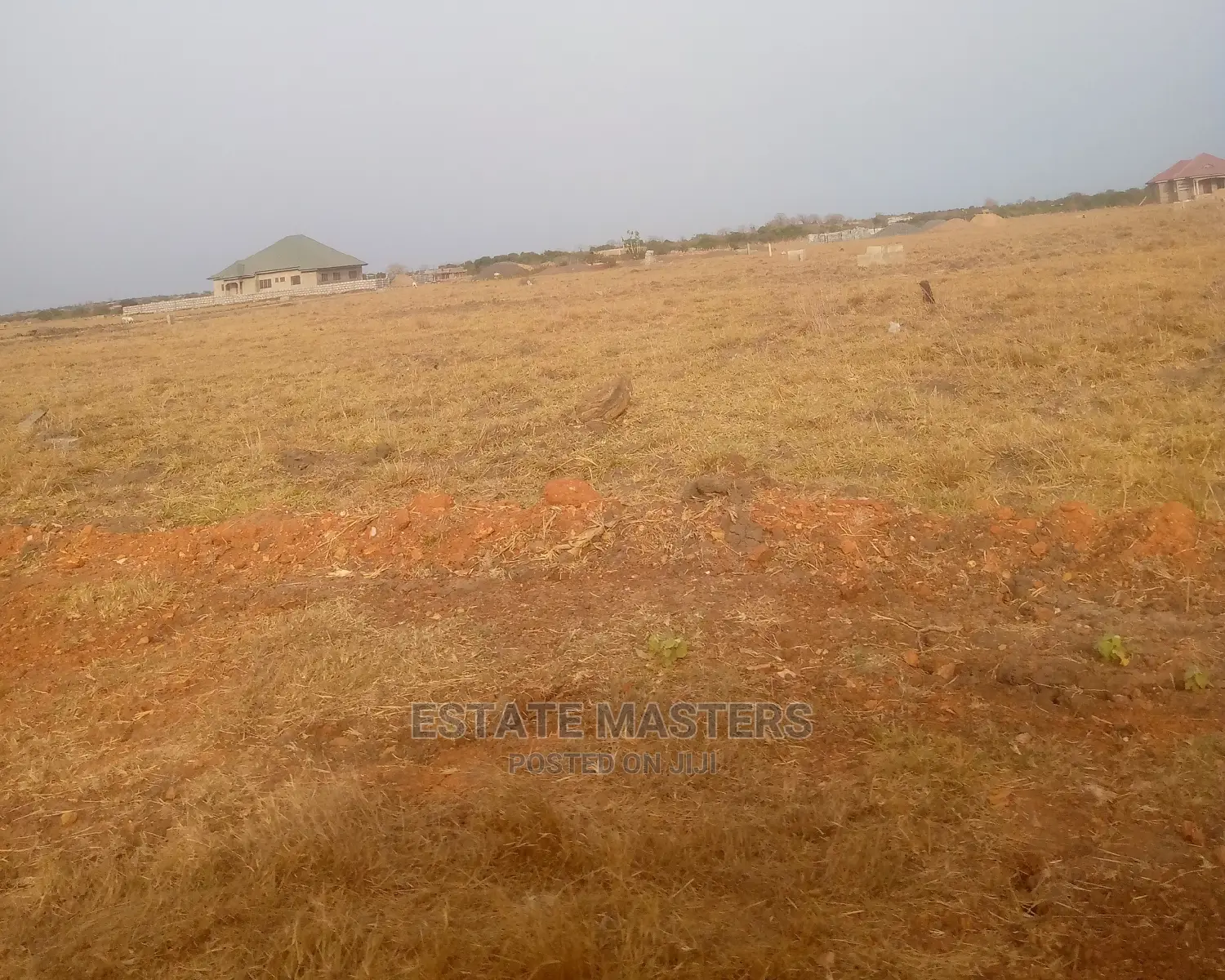 Magnanimous Lands for Sale.
