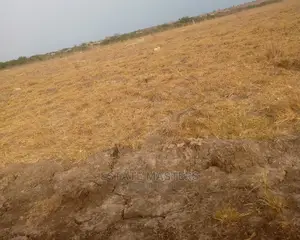 An Illustrious Land for Sale.