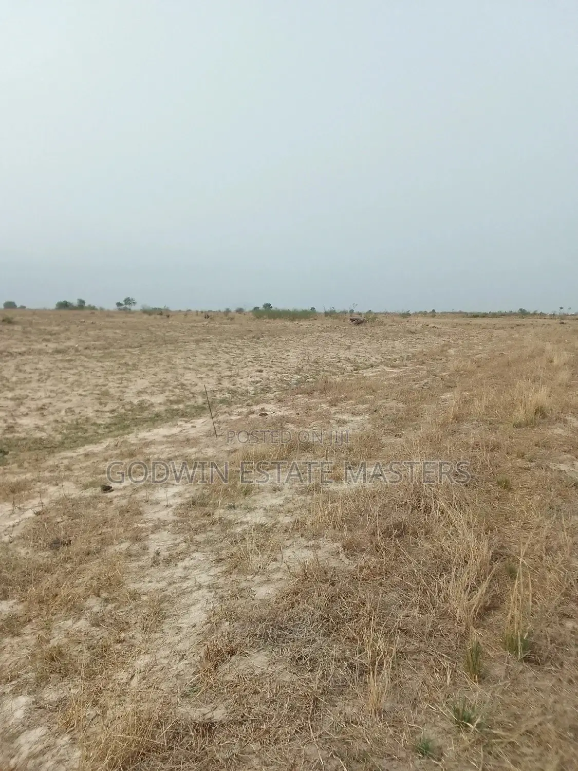 Affordable Commercial Property for Sale