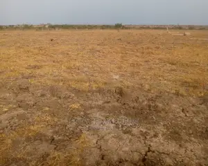 Very Surprising Registered Lands for Sale, Tsopoli