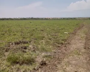 Estate Lands at Affordable Prices