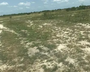 Specified Famed Lands for Sale, Tsopoli
