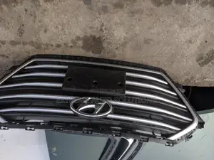 Hyundai Elantra 2018 Bumper Grille