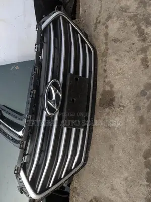 Hyundai Elantra 2018 Bumper Grille