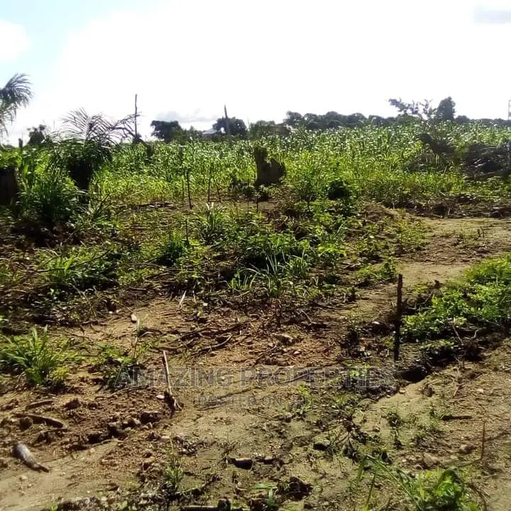 117 Acres Land 
For Sale Boateyman Zoom Lion Head Office