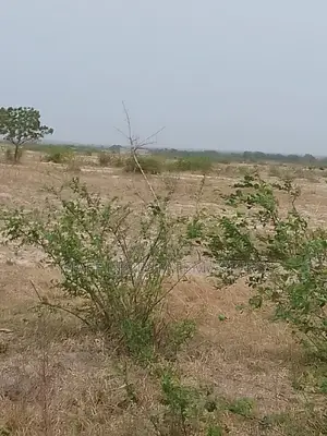Investment in a Risk Free Land for Sale at Bawdjuase