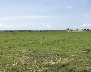 Genuine Liberal Lands for Sale