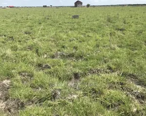 Acquire a Valuable Land