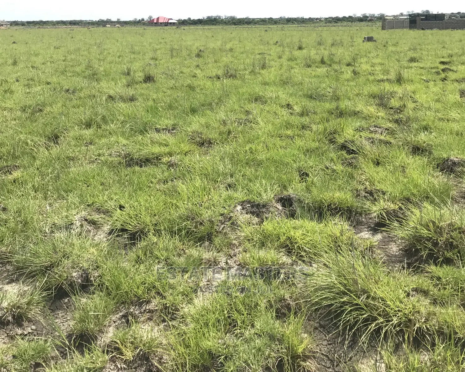 Acquire a Valuable Land