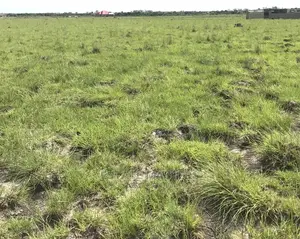 Acquire a Valuable Land