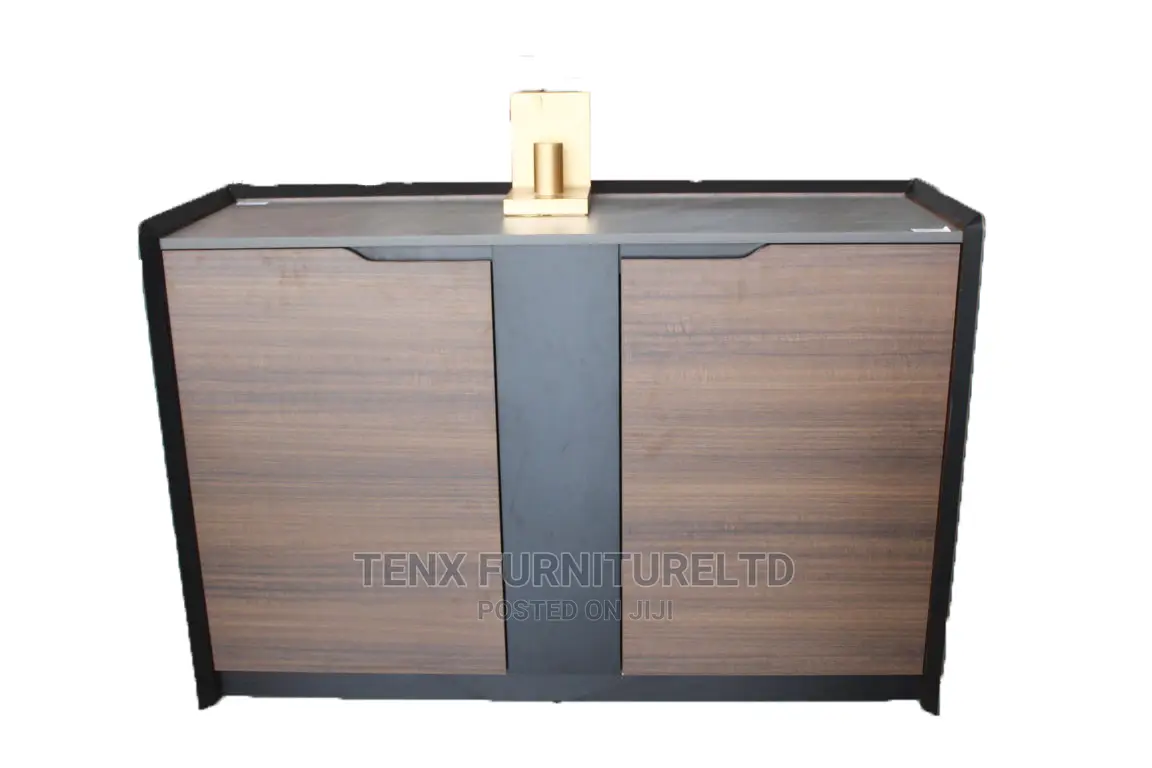 Cabinet With 2 Wooden Doors Gold Black