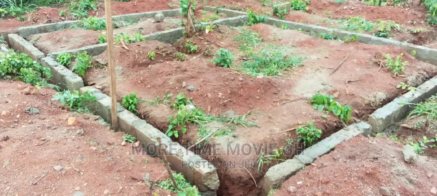 More Time Building and Construction