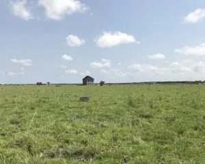 Gain an Exclusive Serviced Land