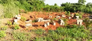 More Time Building and Construction