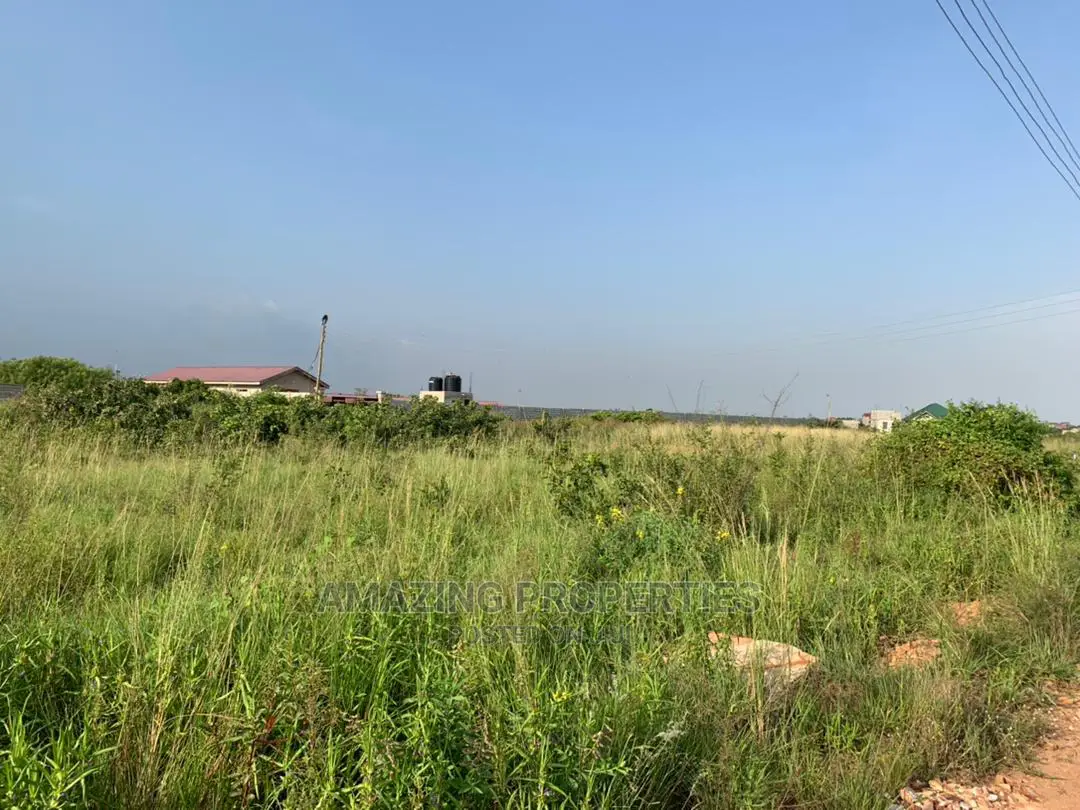 For Sale 300acres of Land 
Location:Tsopoli