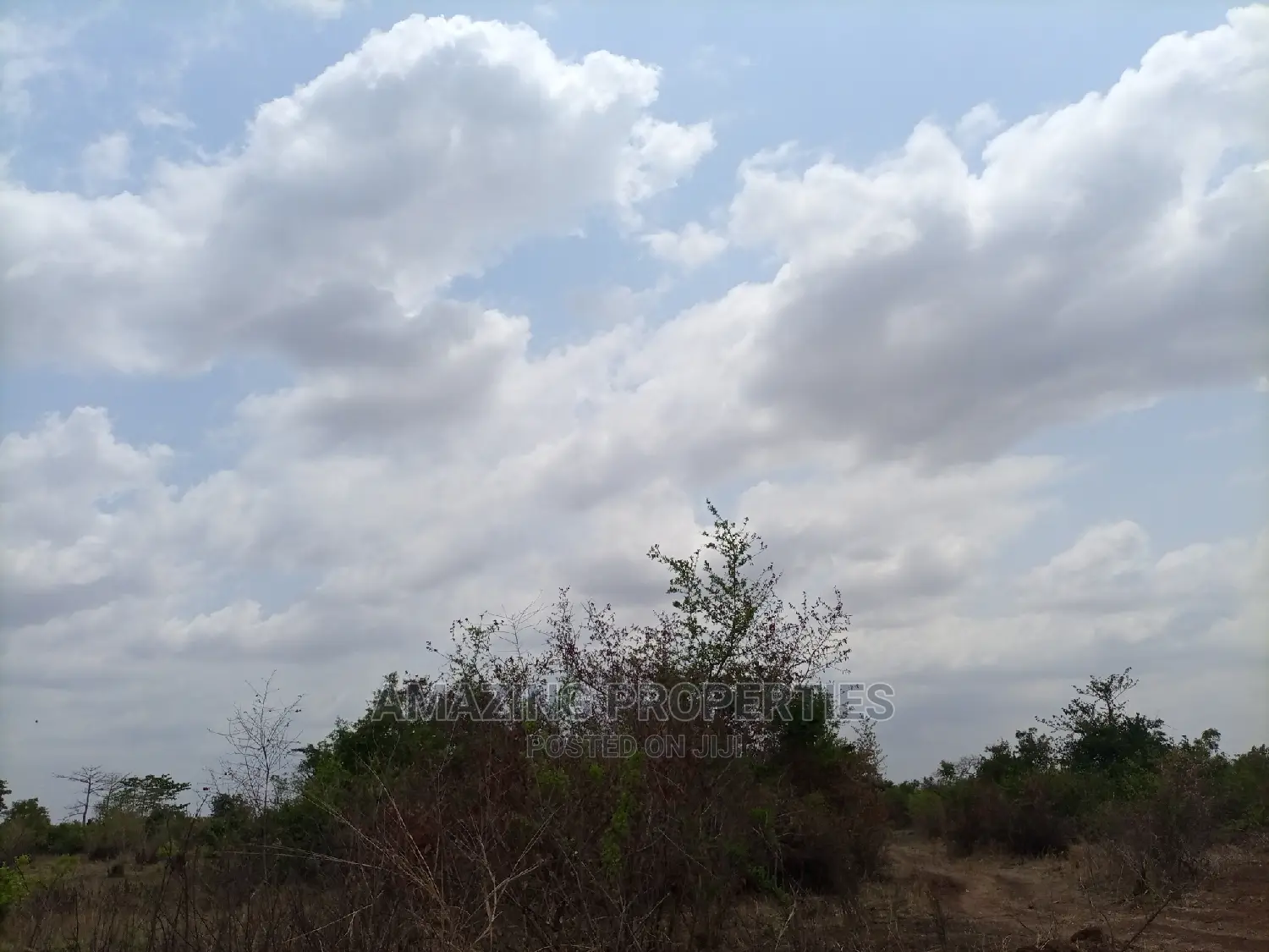 1 Acre of Land for Sale by the Road Kumasi Main Road Amasama