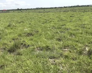 Prime Lands With Titled Document