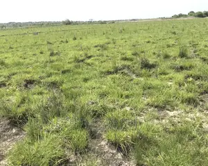 Become a Landowner Today