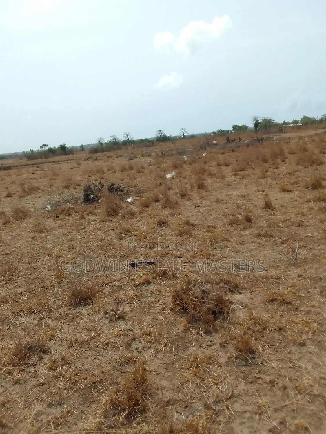 Genuine Litigation Free Lands for Sale at Bueko