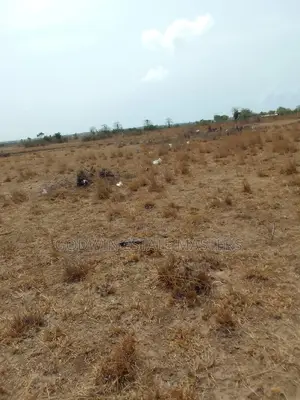 Genuine Litigation Free Lands for Sale at Bueko