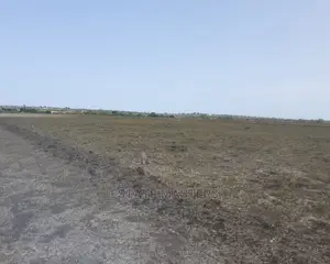 Authentic Prime Location Lands for Sale.