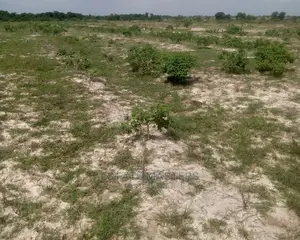 Prime Location Serviced Lands for Sale
