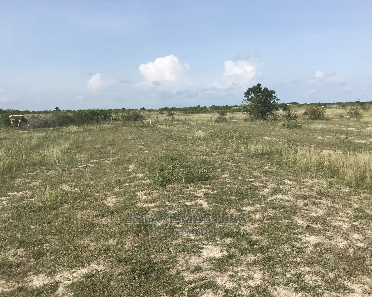 Make A Great Decision And Invest In Lands