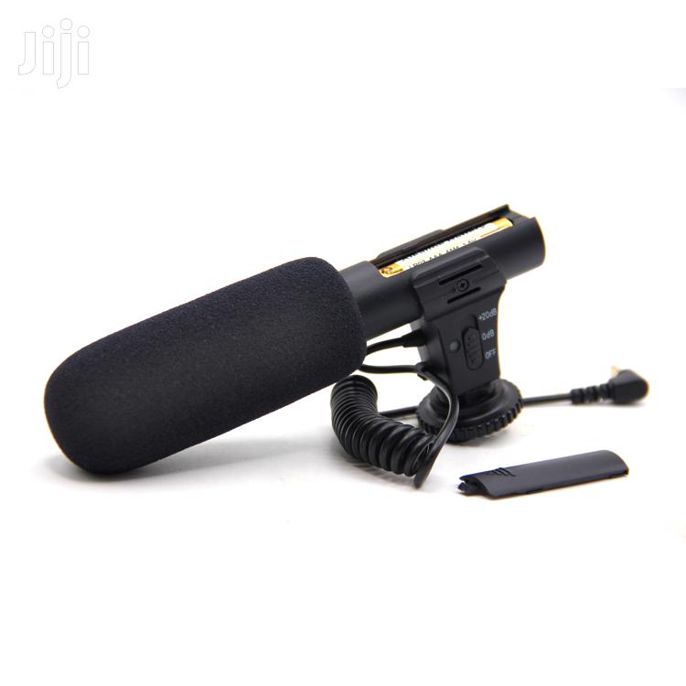 Video Mini Microphone