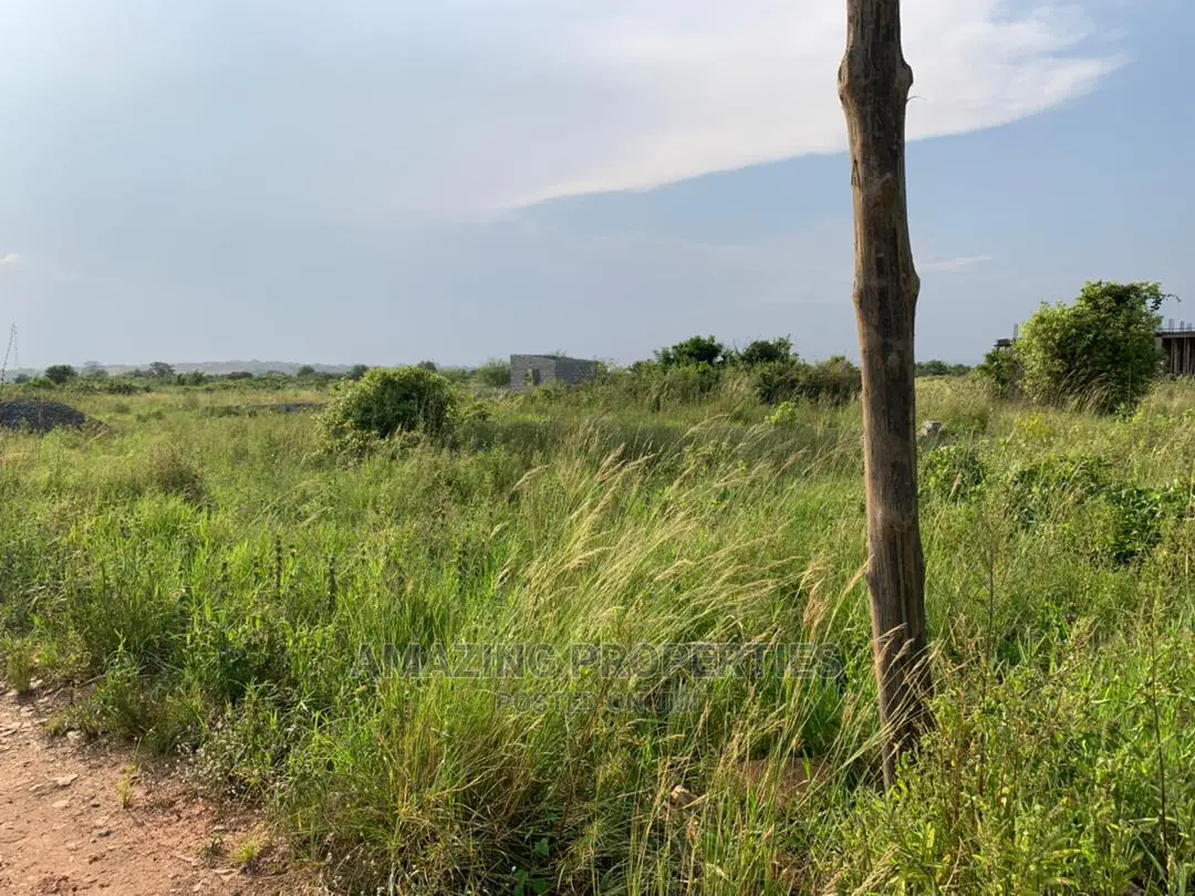 40 Acres of Land for Sale at School Junction